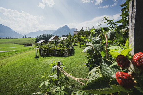 Schmiedgut garten landschaft himbeeren – Gartenlandschaft, Schmiedgut Bad Aussee