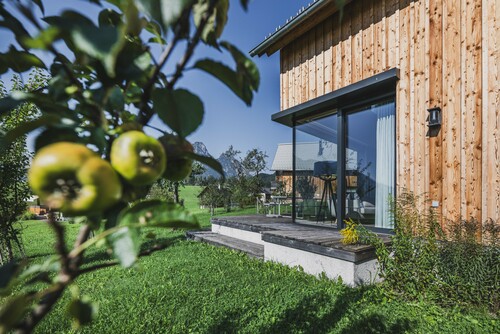 Schmiedgut waldundwiese ferienhaus terrasse mit obstbaum landurlaub – Gartenlandschaft, Schmiedgut Bad Aussee