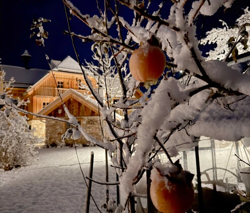 Schmiedgut wintergarten kaki im schnee – Geschichten vom Schmiedgut, Schmiedgut Bad Aussee