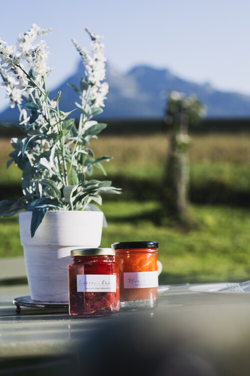 Schmiedgut narzissenbett garten fruehstueck hausgemachte marmeladen – Gartenlandschaft, Schmiedgut Bad Aussee