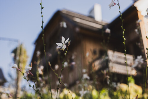 Zarte blumenpracht garten genussurlaub am schmiedgut bad aussee – Gartenlandschaft, Schmiedgut Bad Aussee