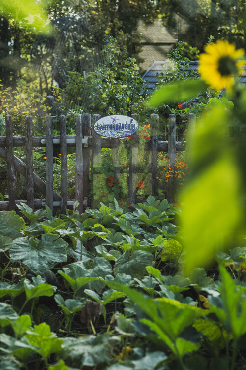 Gartenbaeuerin frische kraeuter und gemuese schmiedgut – Gartenlandschaft, Schmiedgut Bad Aussee