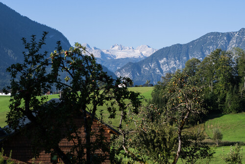 Schmiedgut obstgarten mit dachstein gletscher – Gartenlandschaft, Schmiedgut Bad Aussee