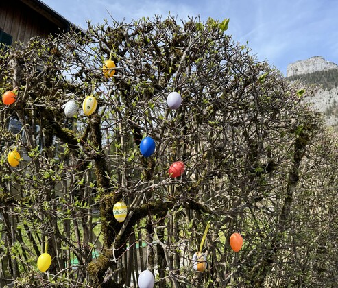 Geschmueckter osterstrauch in altausseee mit losergipfel – Geschichten vom Schmiedgut, Schmiedgut Bad Aussee