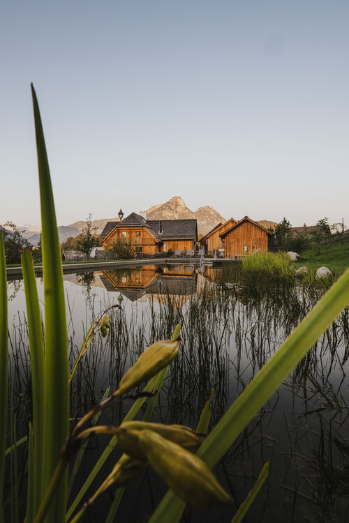 Naturpool stille am morgen schmiedgut – Gartenlandschaft, Schmiedgut Bad Aussee